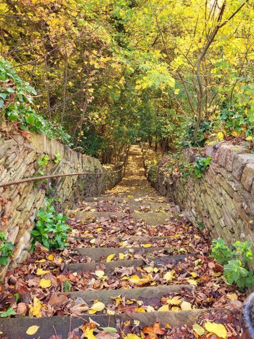 Soleo Cottage Kirkburton エクステリア 写真